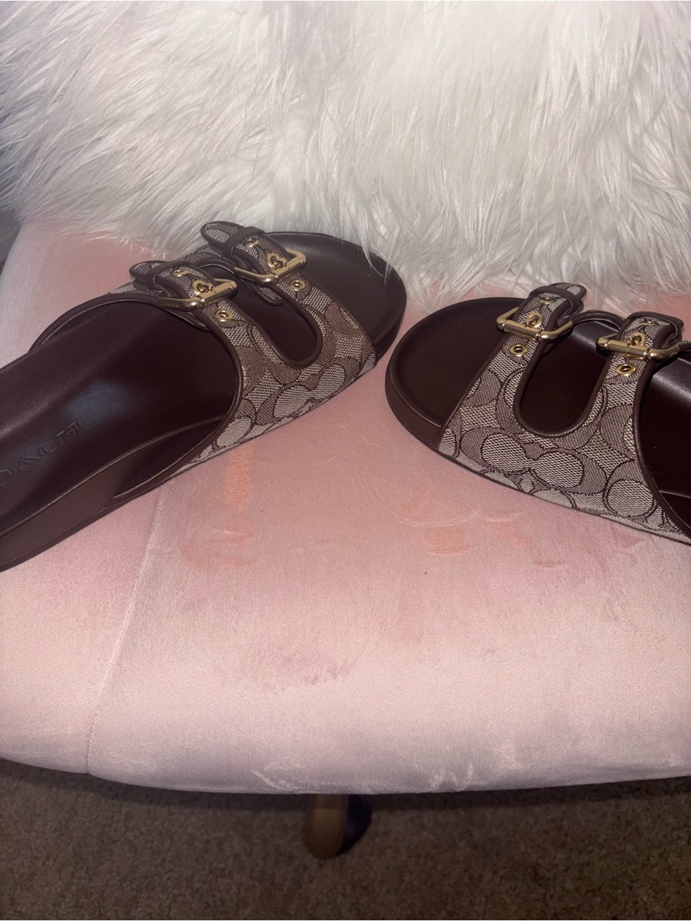 Coach Brown Signature Double-Buckle Slide Sandals with Gold Hardware - Picture 5 of 6